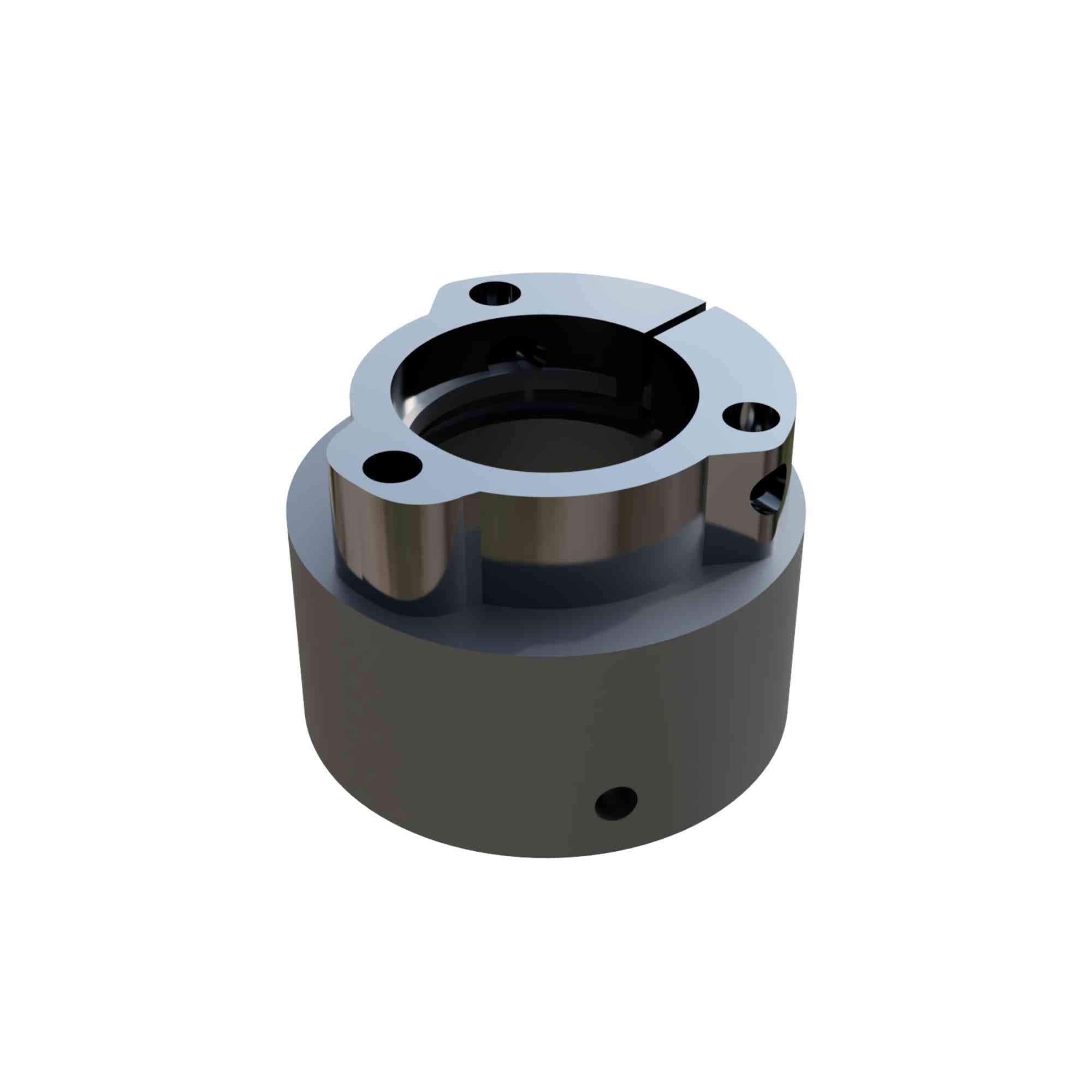 2" Well Cap Assembly