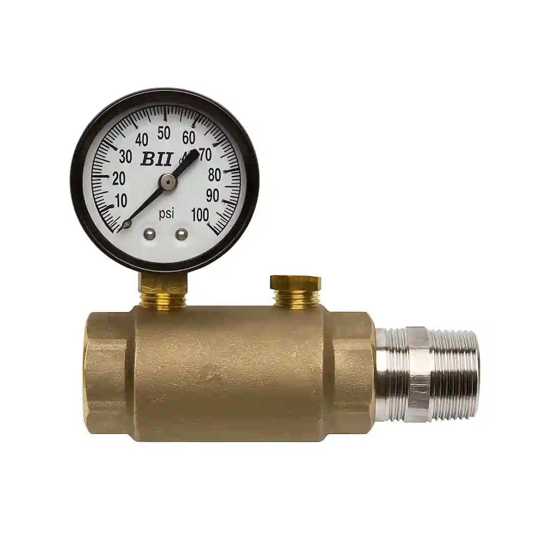 Check Valve / Gauge Assembly
