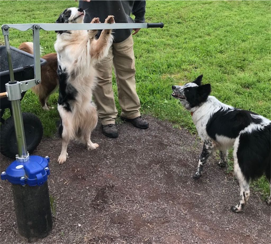 Customer Installation - Deep Well Pump Installation