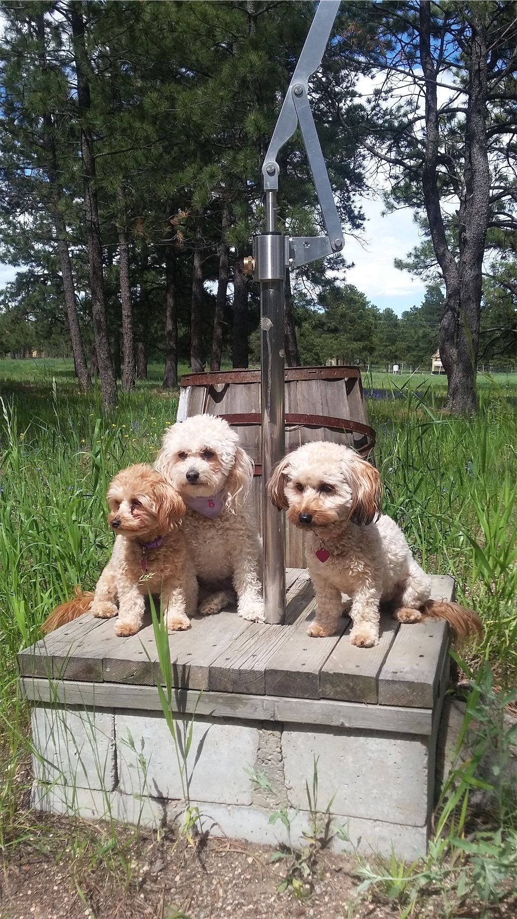 Customer Installation - Deep Well Pump Installation